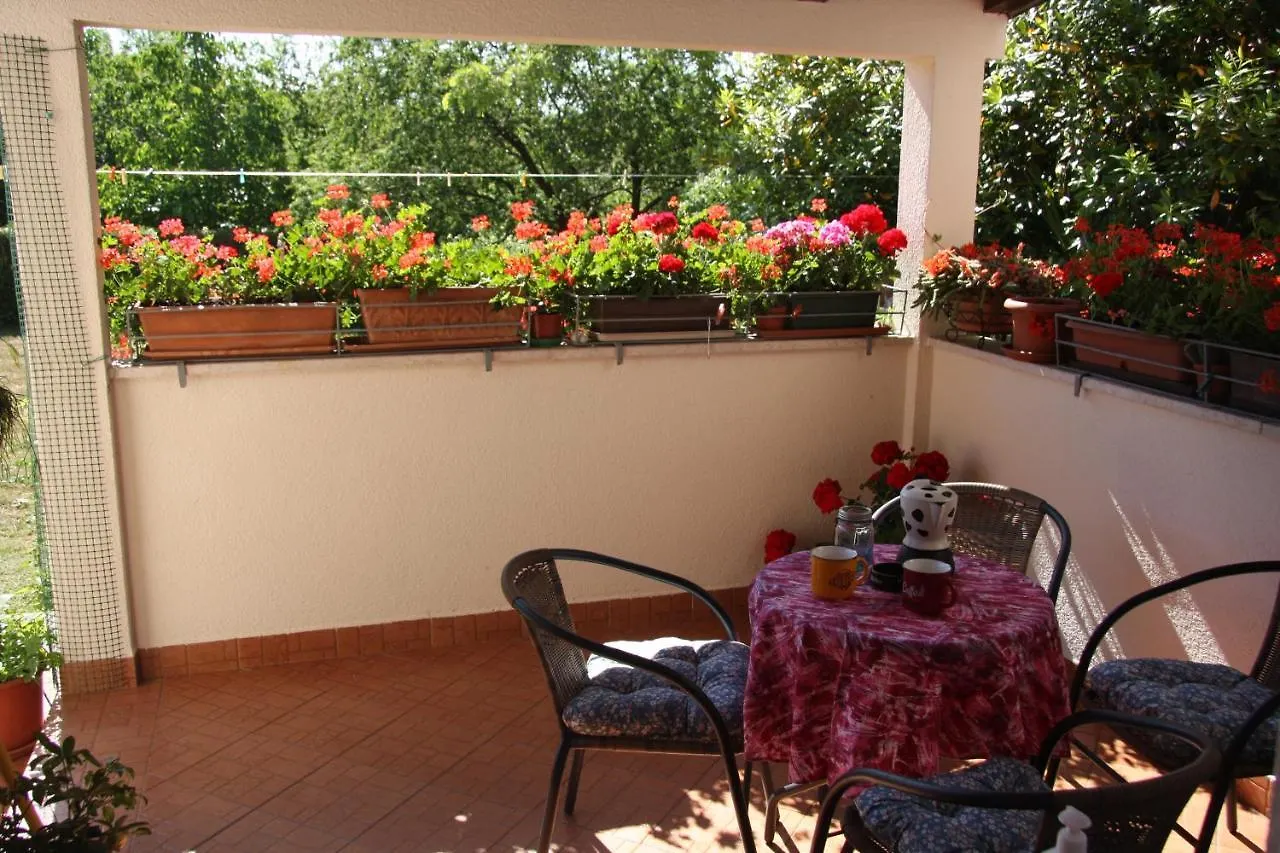 Apartman Rino Bašanija